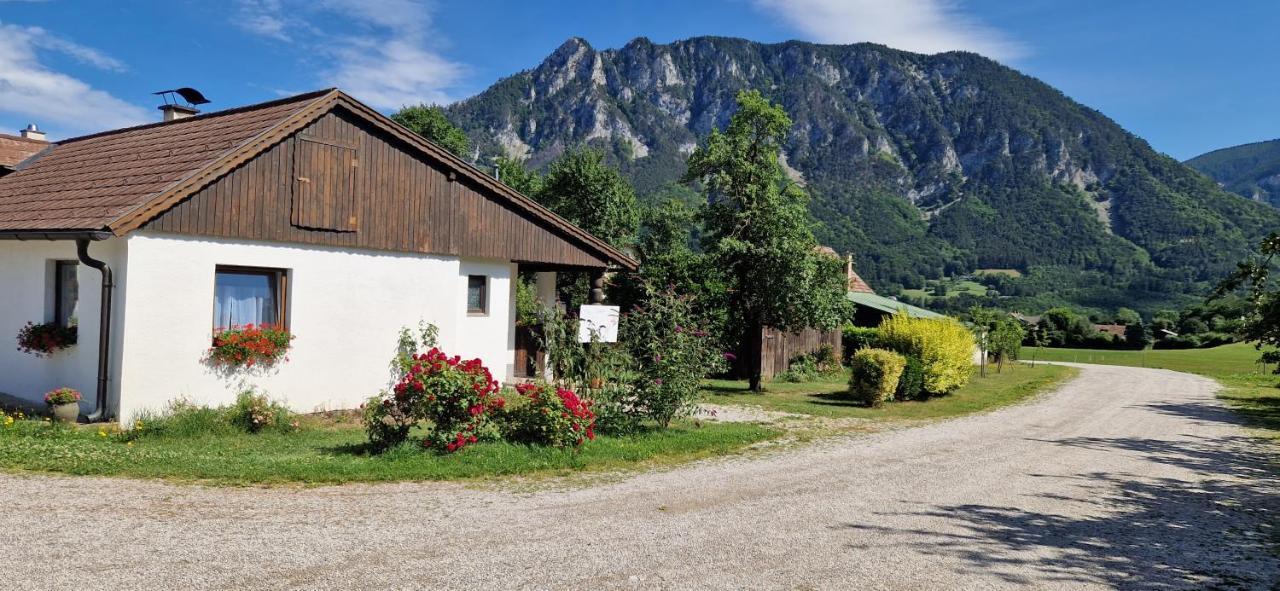 Leo-Hof Daire Hirschwang Dış mekan fotoğraf